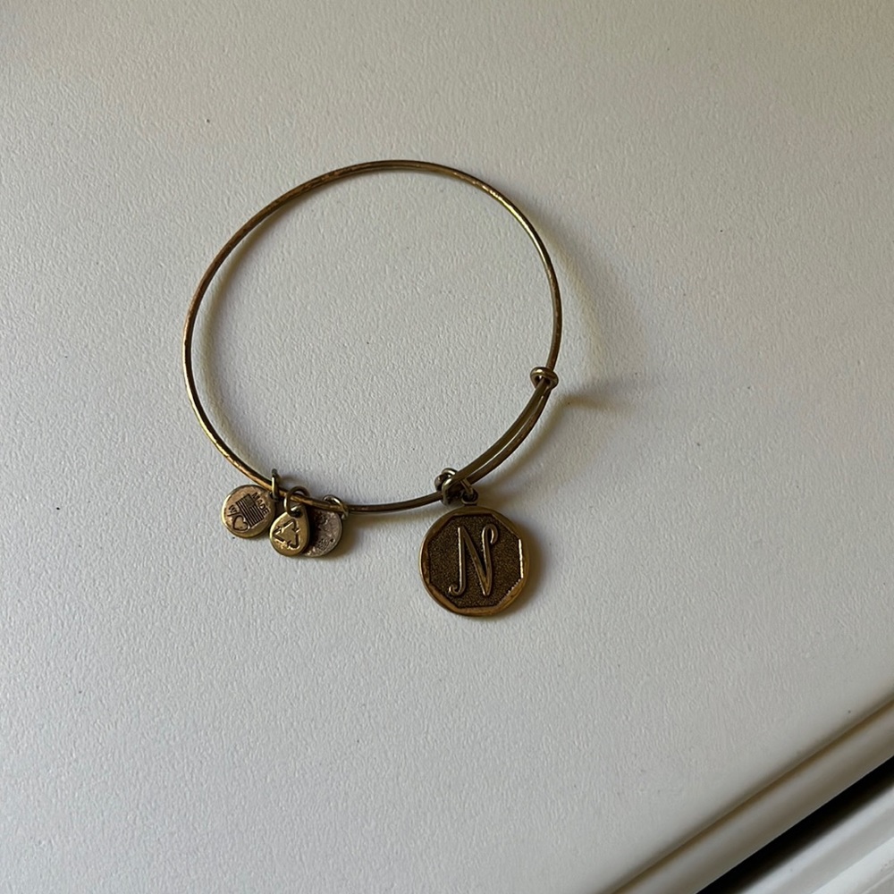 Initial N alex and ani